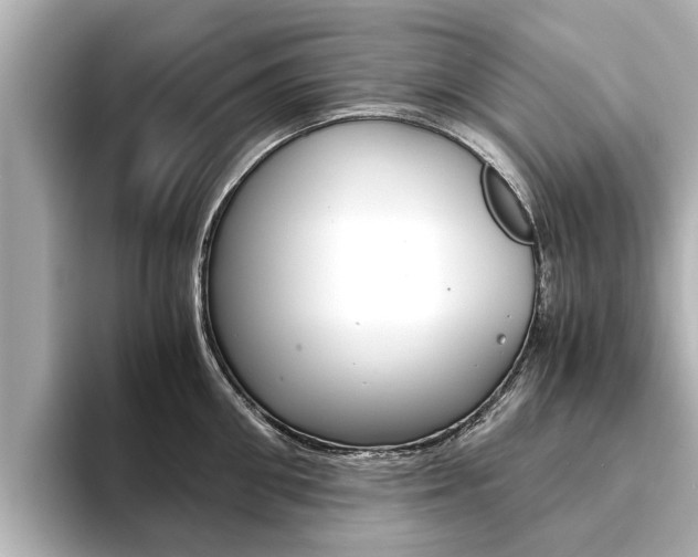 X0000093750906200710160808
