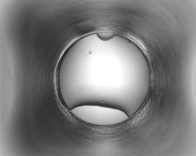 X0000093750907200710160808