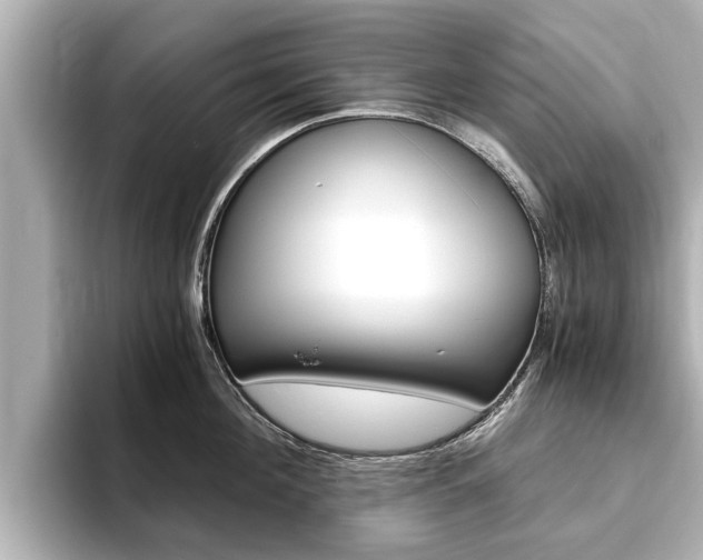 X0000093750908200710160808