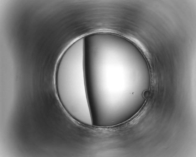 X0000093750910200710160808