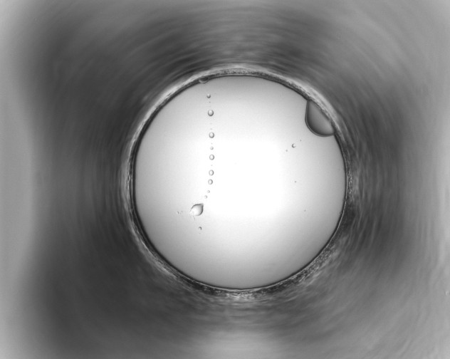 X0000093750911200710160808