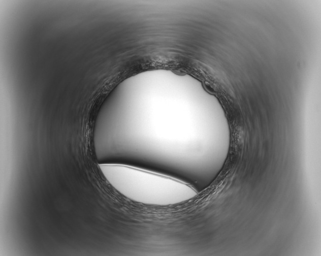 X0000093750914200710160807
