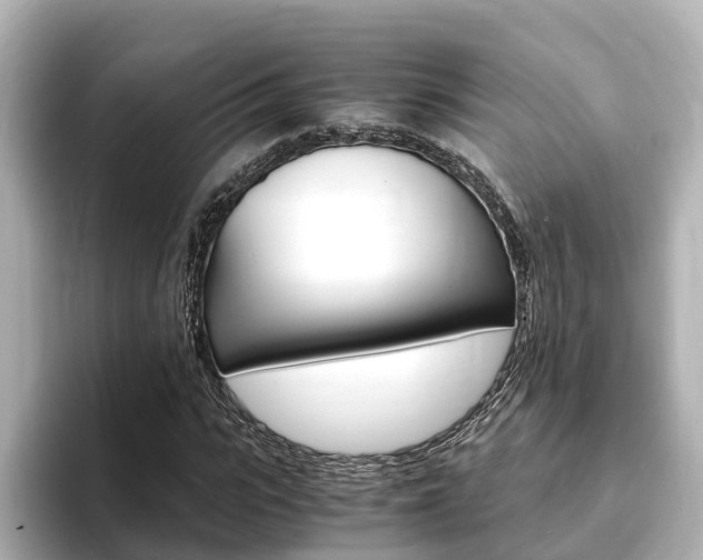 X0000093750919200710160807