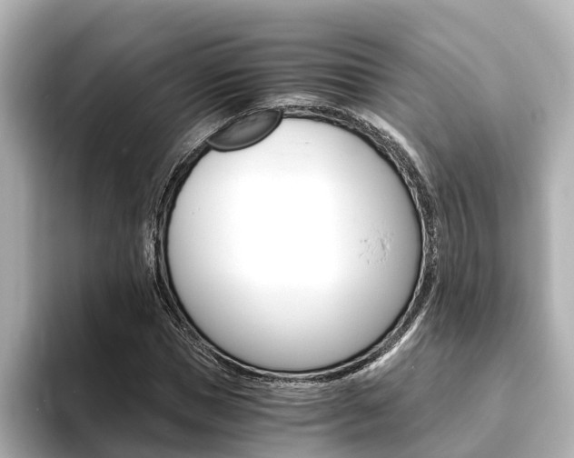 X0000093750921200710160807