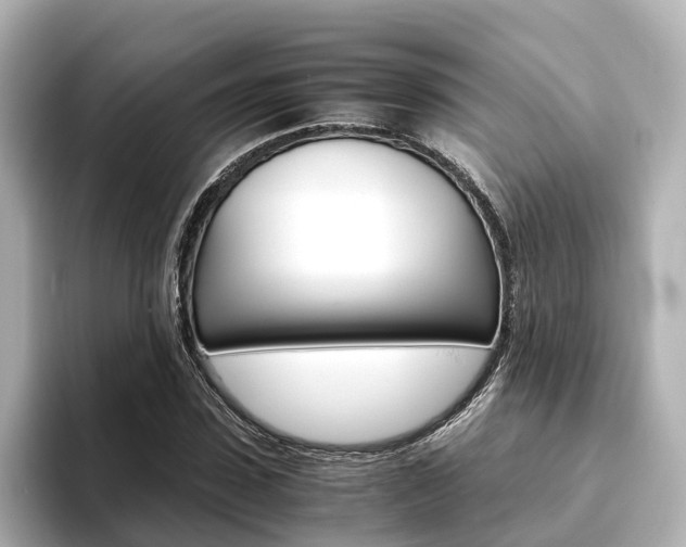 X0000093750923200710160807