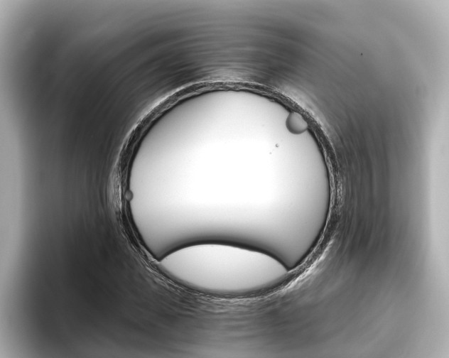 X0000093750925200710160807