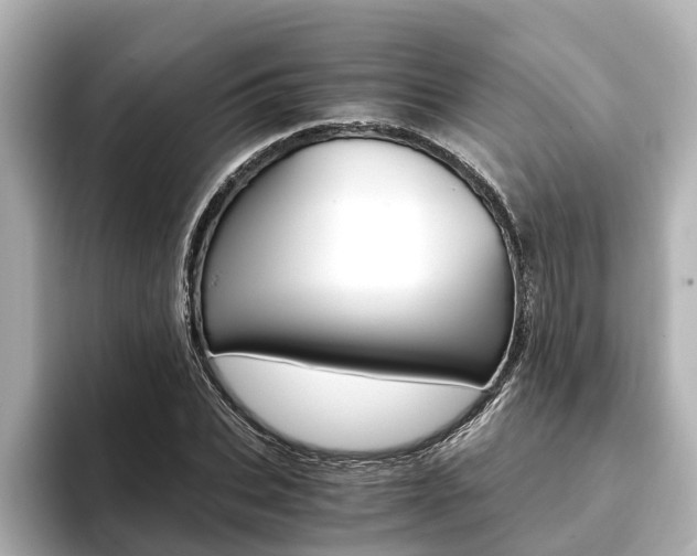 X0000093750927200710160807