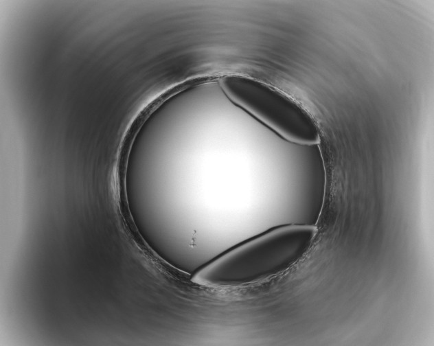 X0000093750936200710160807