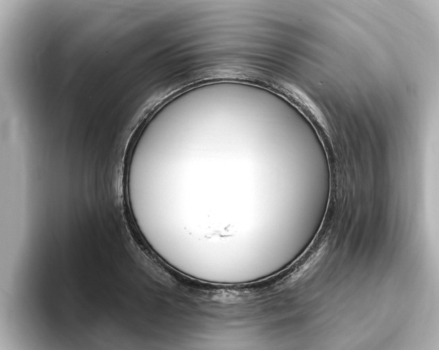 X0000093750938200710160807