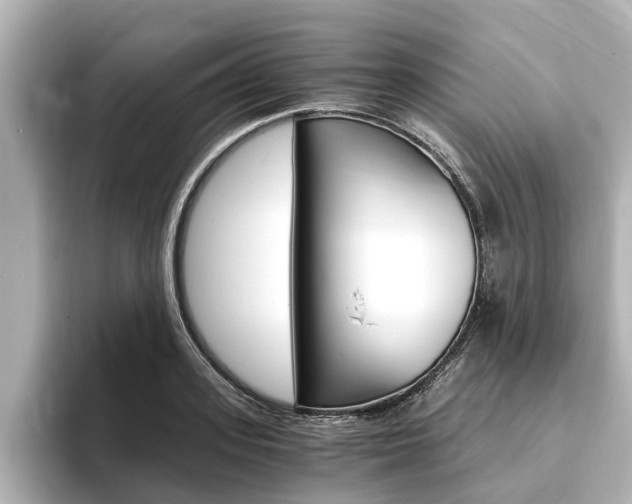 X0000093750939200710160807