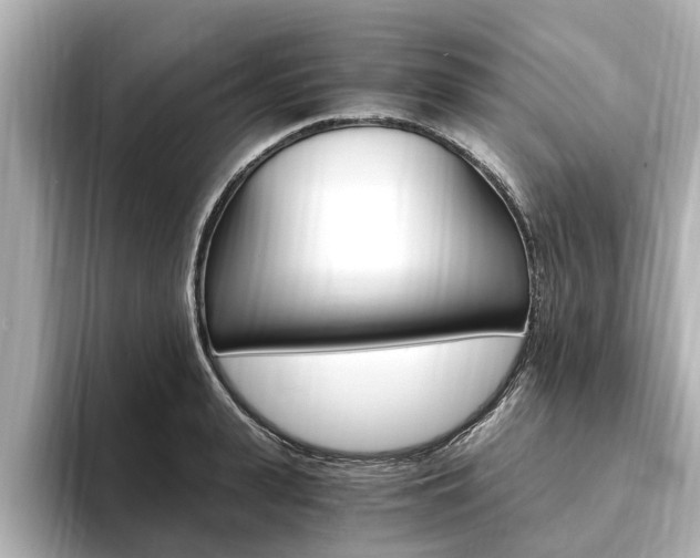 X0000093750943200710160807