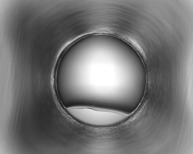 X0000093750944200710160807