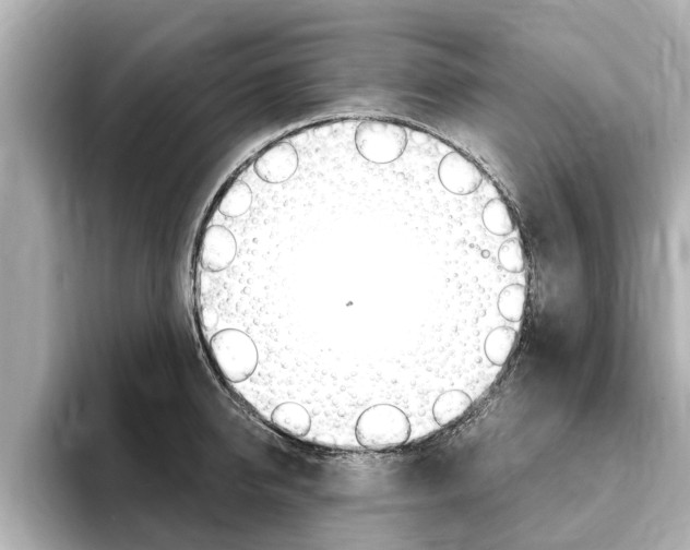 X0000093750950200710160808