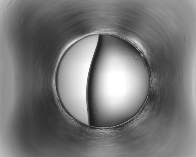 X0000093750952200710160808