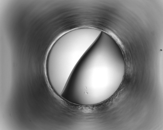 X0000093750955200710160808