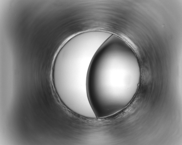 X0000093750956200710160808