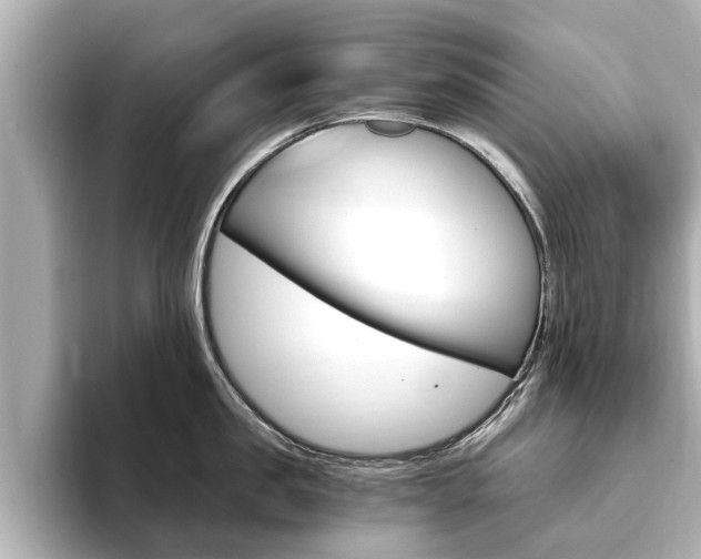 X0000093750957200710160808