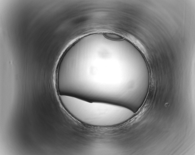 X0000093750958200710160808