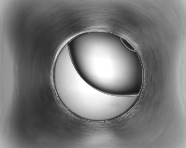 X0000093750960200710160808