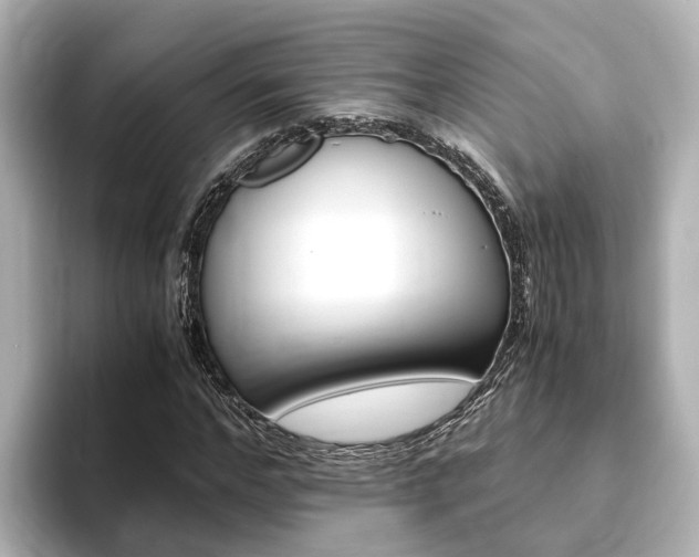 X0000093750968200710160807