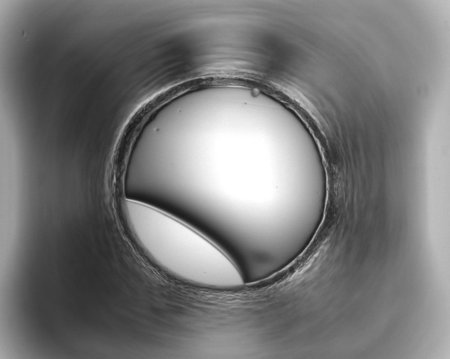 X0000093750971200710160807