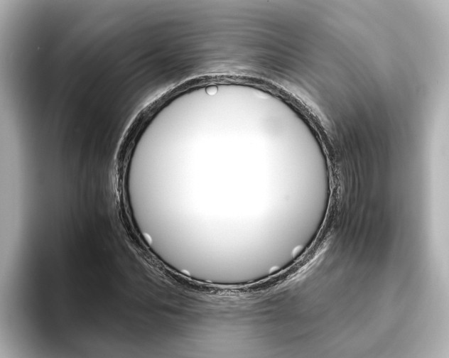 X0000093750974200710160807