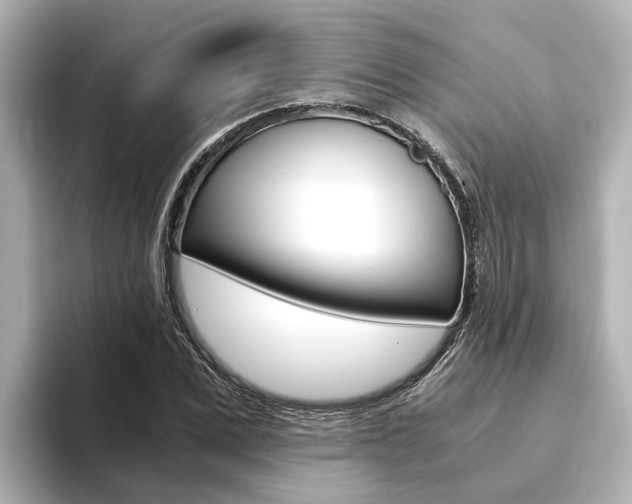 X0000093750975200710160807