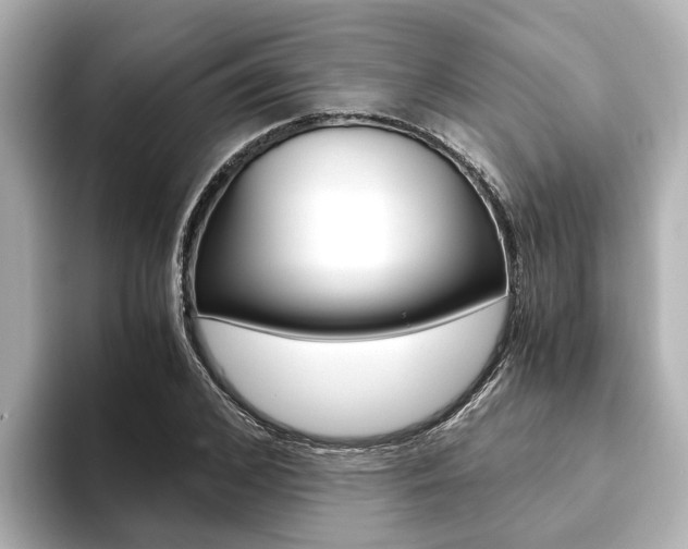 X0000093750976200710160807