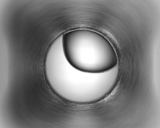 X0000093750977200710160807