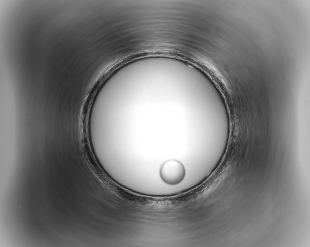 X0000093750978200710160807