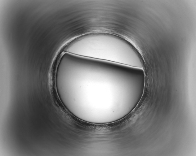 X0000093750979200710160807