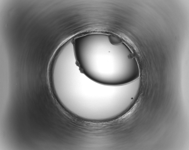 X0000093750981200710160807
