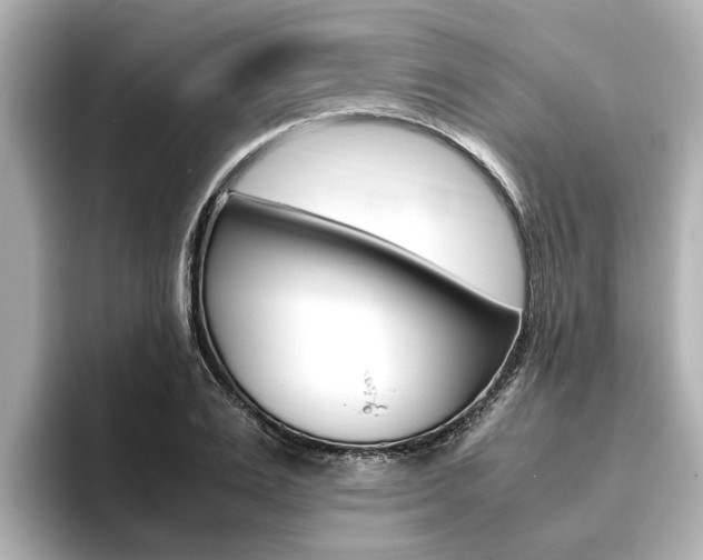 X0000093750983200710160807