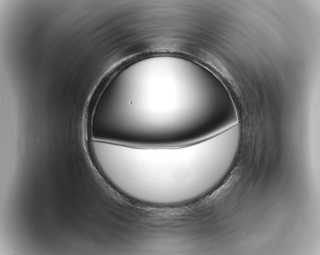 X0000093750984200710160807