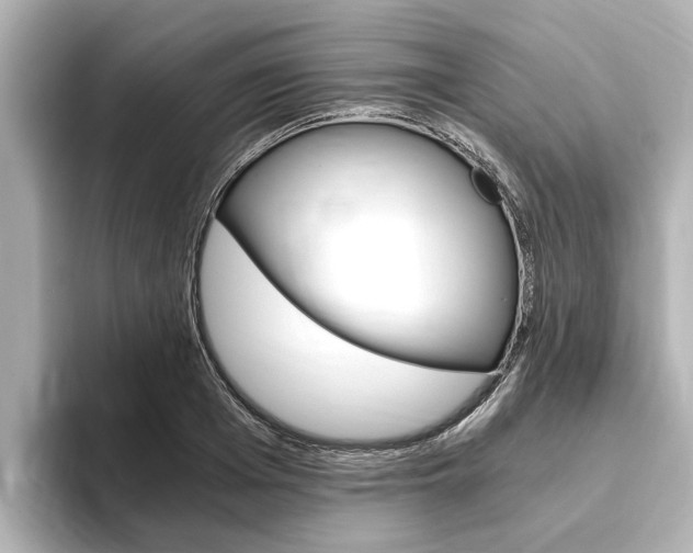 X0000093750985200710160807