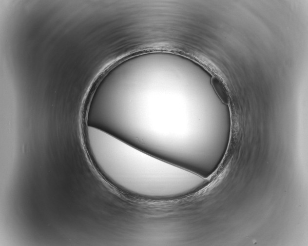 X0000093750989200710160807