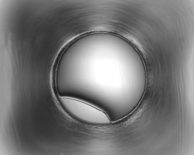 X0000093750991200710160807