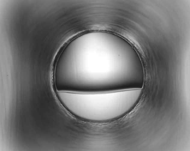 X0000093750992200710160807