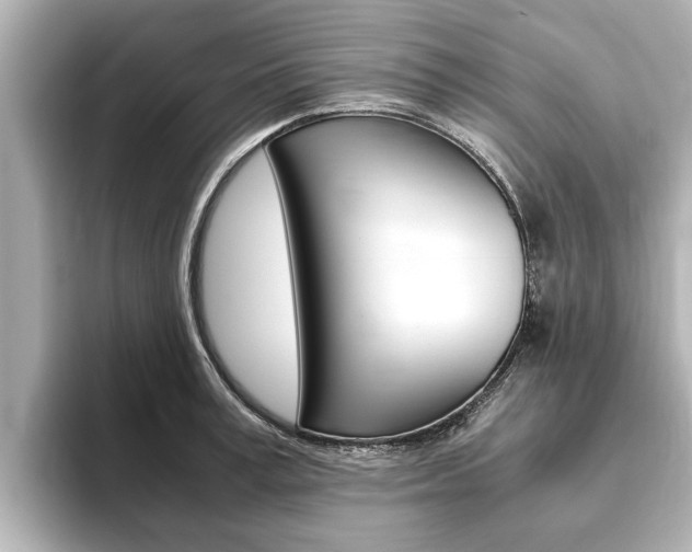 X0000093750995200710160807