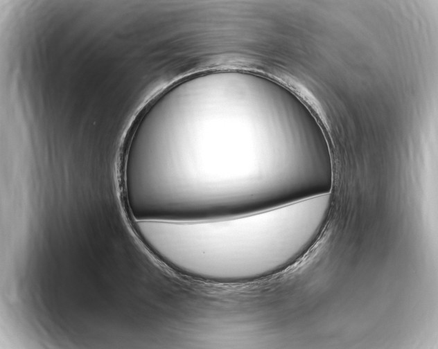 X0000093750997200710160807