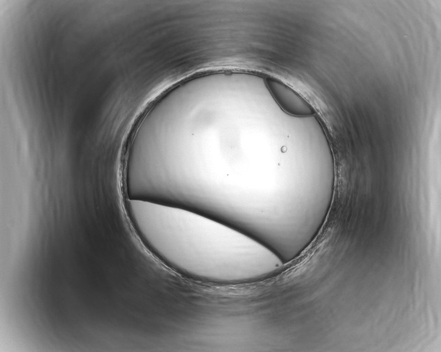 X0000093750998200710160807