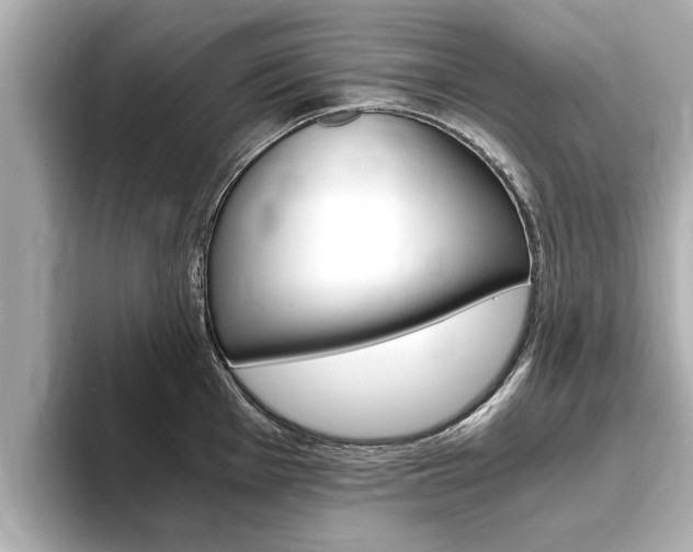 X0000093751001200710160806