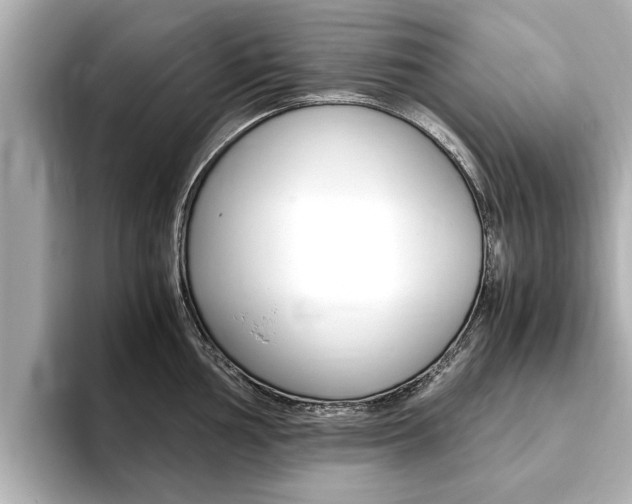 X0000093751002200710160806