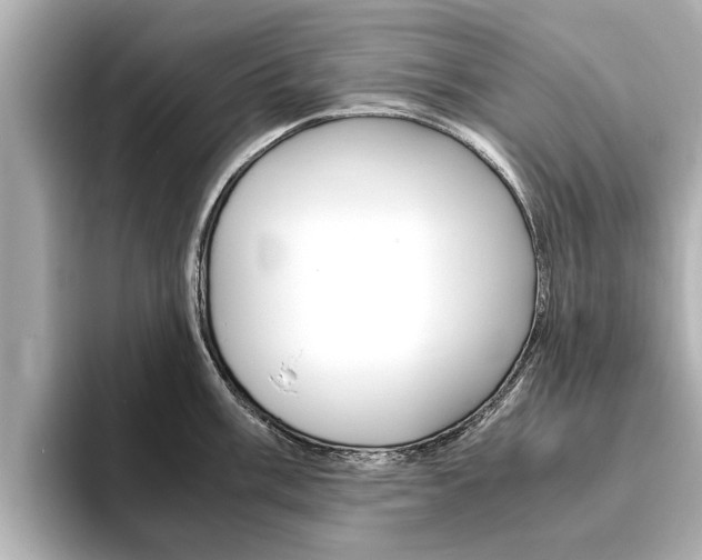 X0000093751003200710160806