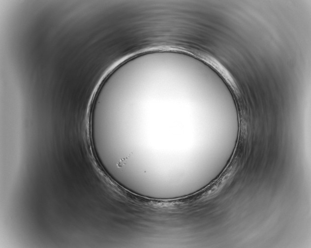 X0000093751004200710160806