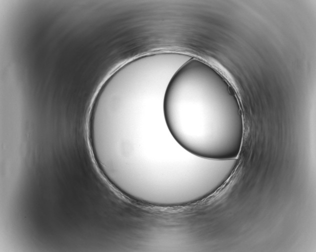 X0000093751005200710160806