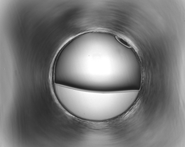 X0000093751007200710160806