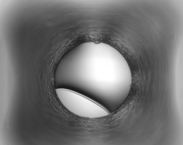 X0000093751009200710160806