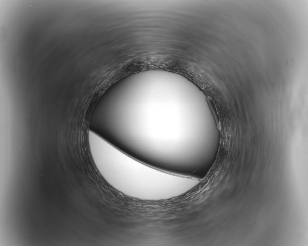 X0000093751010200710160806
