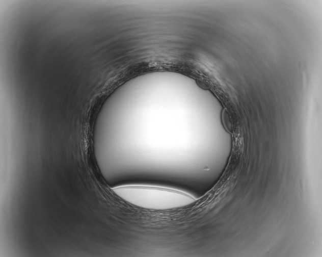 X0000093751012200710160806